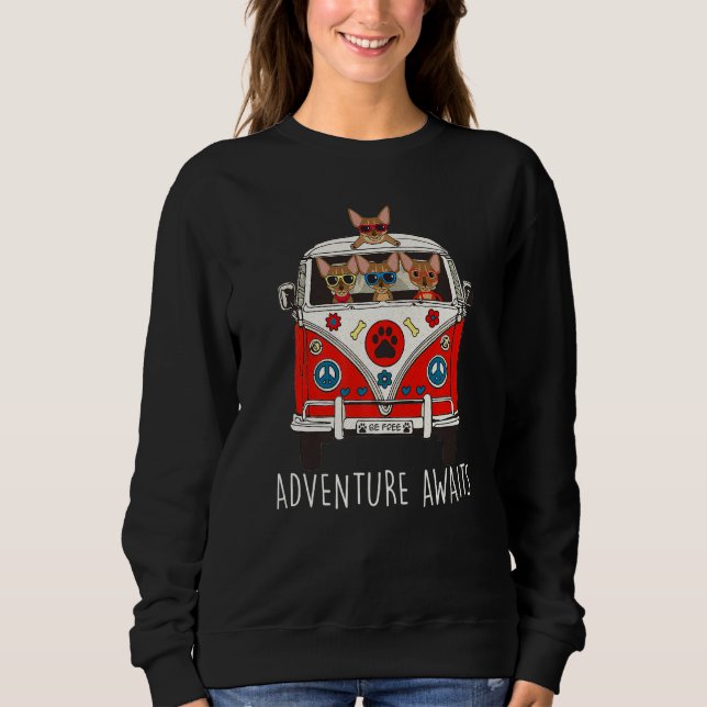 Sweatshirt Abyssinian Adventure Attend Artwork Camper (Devant)