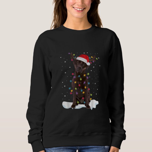 Sweatshirt Amoureux des chiens | Chocolat Labrador Retriever  (Devant)