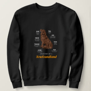 Sweatshirt Anatomie adorable d'un chien de Terre-Neuve