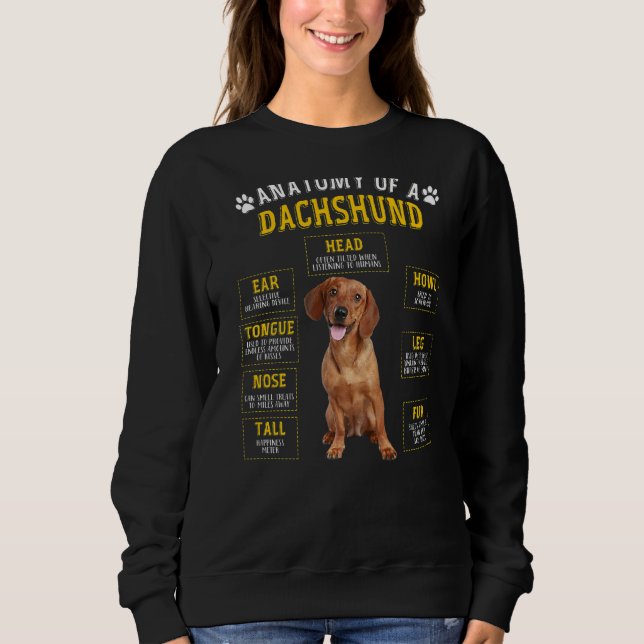 Sweatshirt Anatomie Dachshund Pour Femmes Hommes (Devant)