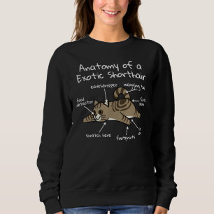 Sweatshirt Anatomie D'Un Animal De Chat Exotique