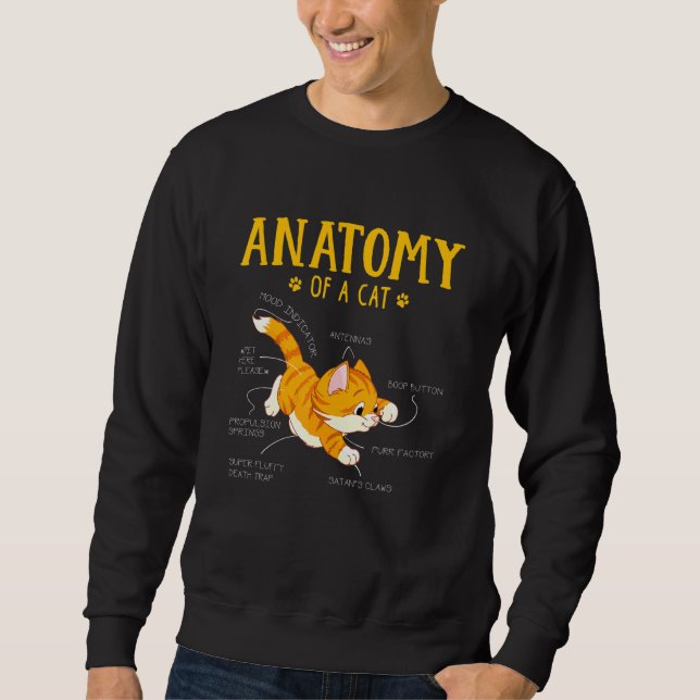 Sweatshirt Anatomie D'Un Animal De Chat Kitten (Devant)