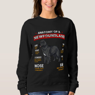 Sweatshirt Anatomie D'Un Chien De Terre-Neuve Amateurs