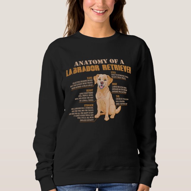 Sweatshirt Anatomy of a Labrador Retriever  Dog (Devant)