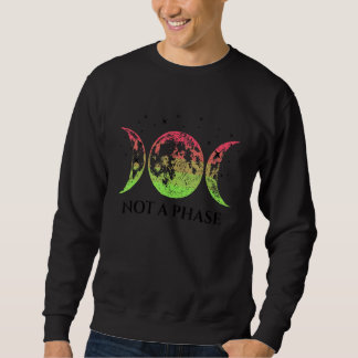 Sweatshirt Aroflux Pride Flag Not A Phase Aroflux Flag