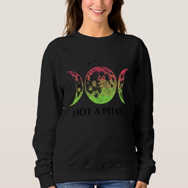 Sweatshirt Aroflux Pride Flag Not A Phase Aroflux Flag (Devant)