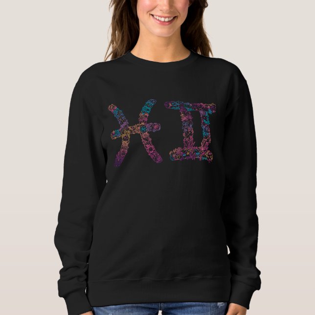 Sweatshirt Astrology Horoscope Zodiac Signs Gemini and Gemini (Devant)