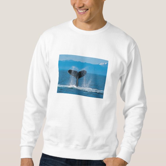 Sweatshirt Baleine de bosse (Devant)