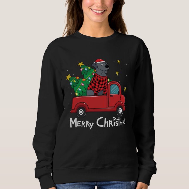 Sweatshirt Blue Lace Christmas  Truck  Blue Lacy (Devant)