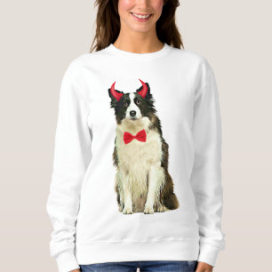 Sweatshirt Bordure Collie Chien À Halloween