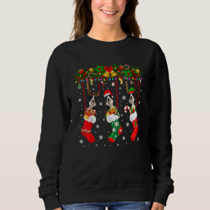 Sweatshirt Bordure Collie Dans Le Sock Xmas Reindeen Fun Noël