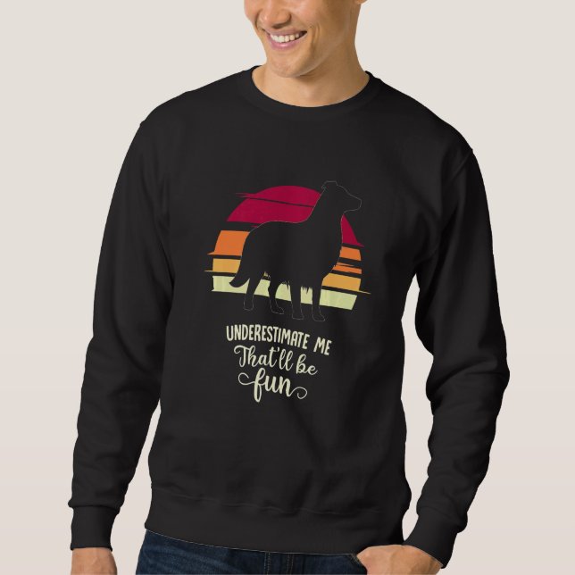 Sweatshirt Bordure Collie Retro Premium 1 (Devant)