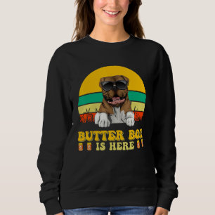 Sweatshirt Bouledogue américain Dog Butter Box est ici pour l