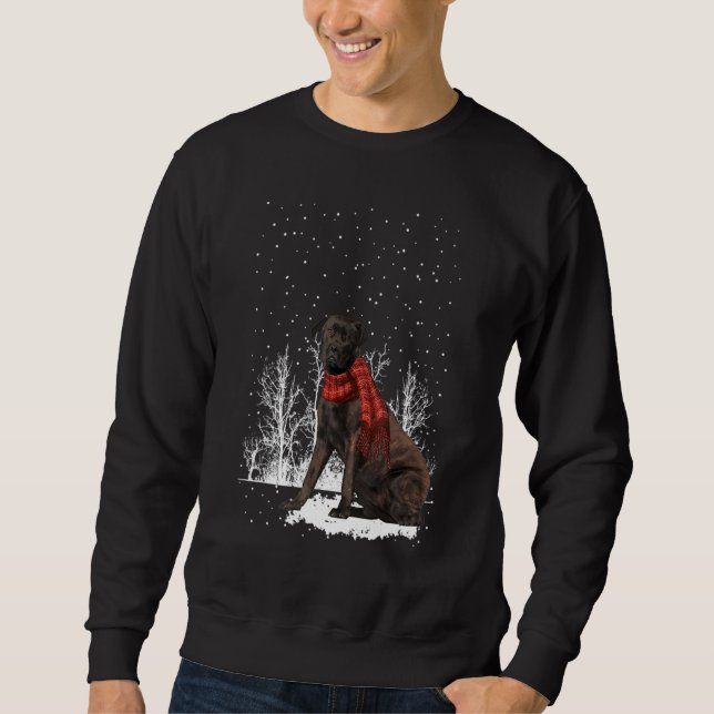 Sweatshirt Brindle Bullmastiff Hivernal Chiens d'araignée For (Devant)