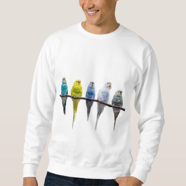 Sweatshirt Budgies (Devant)