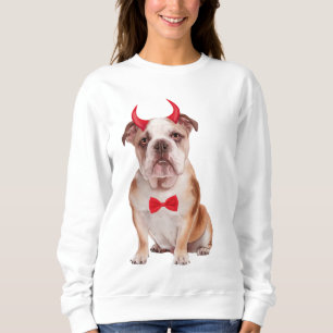 Sweatshirt Bulldog Anglais En Halloween