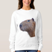 Capybara