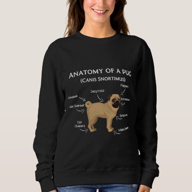 Sweatshirt Carlin Anatomie classique T-shirt 40 (Devant)