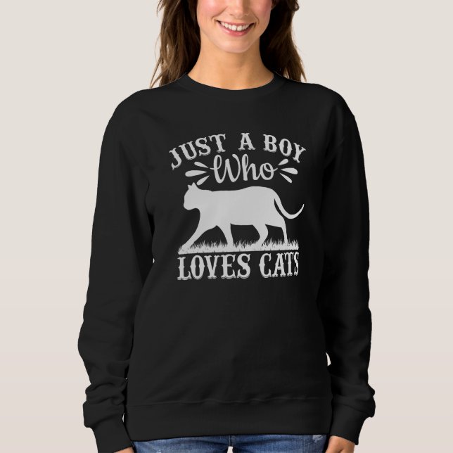 Sweatshirt Cat I Just A Boy Who Loves Cats (Devant)