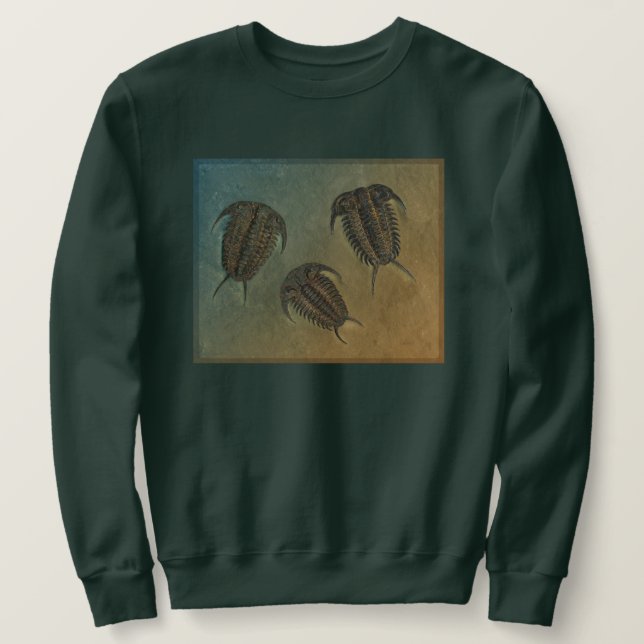 Sweatshirt Ceraurus et Leviceraurus (Design devant)