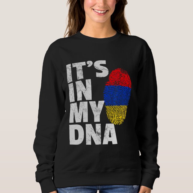Sweatshirt C'Est Dans Mon Adna Arménie Flag Pride National (Devant)