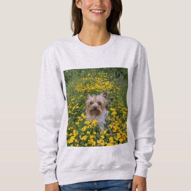 Sweatshirt champ de Yorkshire Terrier (Devant)