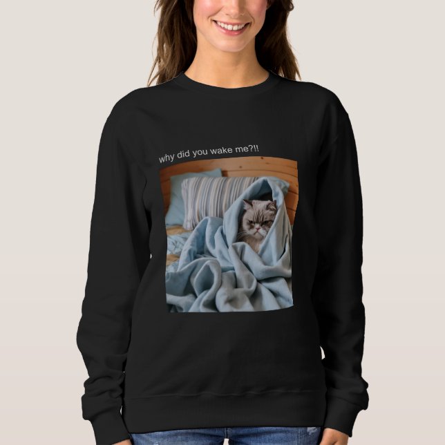 Sweatshirt Chat T-shirt Mème Silly Chat Funny Kitty Meow Hiss (Devant)