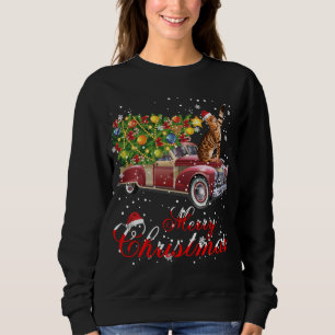 Sweatshirt Chats Rides Camion Rouge Pajama de Noël