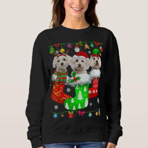 Sweatshirt Chaussettes de Noël Pyjama Maltais Chien Chien Chi