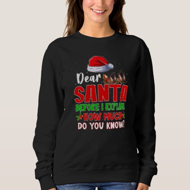 Sweatshirt Cher Père Noël Avant D'Expliquer Combien Connaisse (Devant)