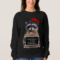 Cher Père Noël, Je Peux Expliquer Drôle Raccoon De
