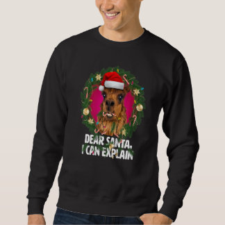 Sweatshirt Cher Père Noël, Sweet Alpaca était vilain à Noël