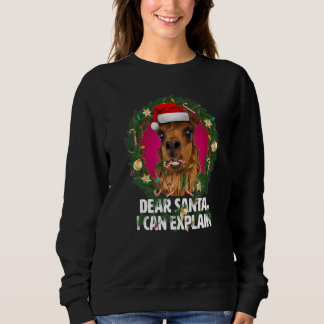 Sweatshirt Cher Père Noël, Sweet Alpaca était vilain à Noël