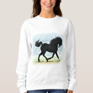 Sweatshirt Cheval noir avec carte d'anatomie Star & Sock