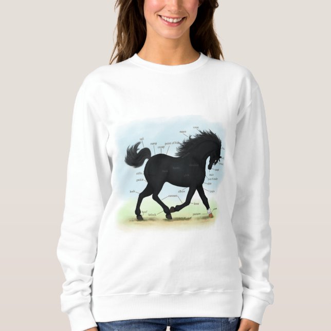 Sweatshirt Cheval noir avec carte d'anatomie Star & Sock (Devant)