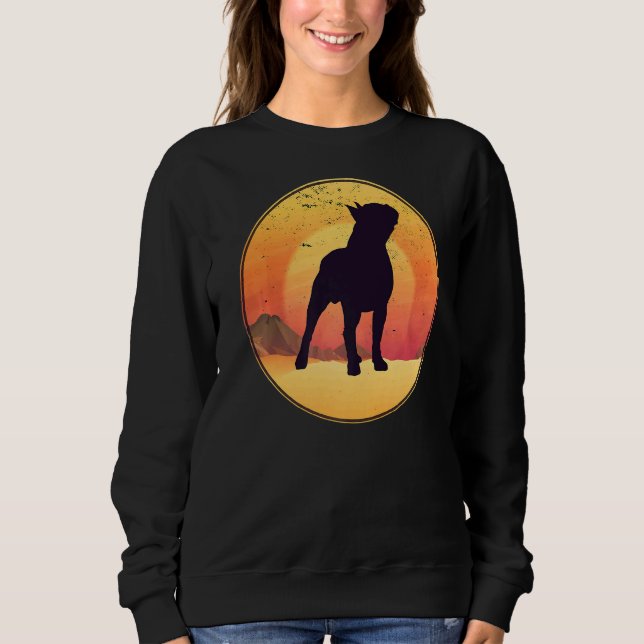 Sweatshirt Chien de Boston Terrier race (Devant)