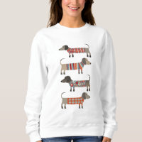 Chien de saucisse Dachshund