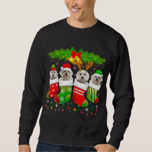 Sweatshirt Chien maltais mignon en choeur Noël Chien Père Noë