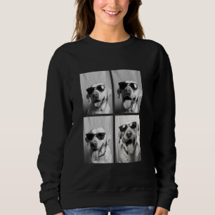 Sweatshirt Chiens Labrador drôles avec des Lunettes de Soleil