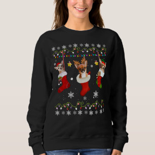 Sweatshirt Chihuahua Chaussettes de Noël illumine les fêtes d