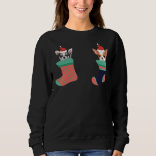Sweatshirt Chihuahua Chaussettes de Noël Santa Hat