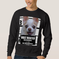 Chihuahua mignon Chiwawa Chig Tee B