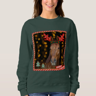 Sweatshirt christmas horsie sweater