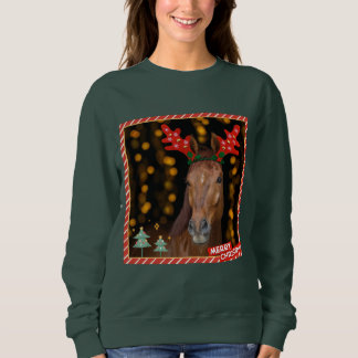 Sweatshirt christmas horsie sweater
