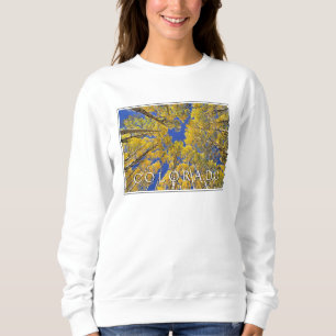 Sweatshirt Colorado automne Forêt de trembles en automne