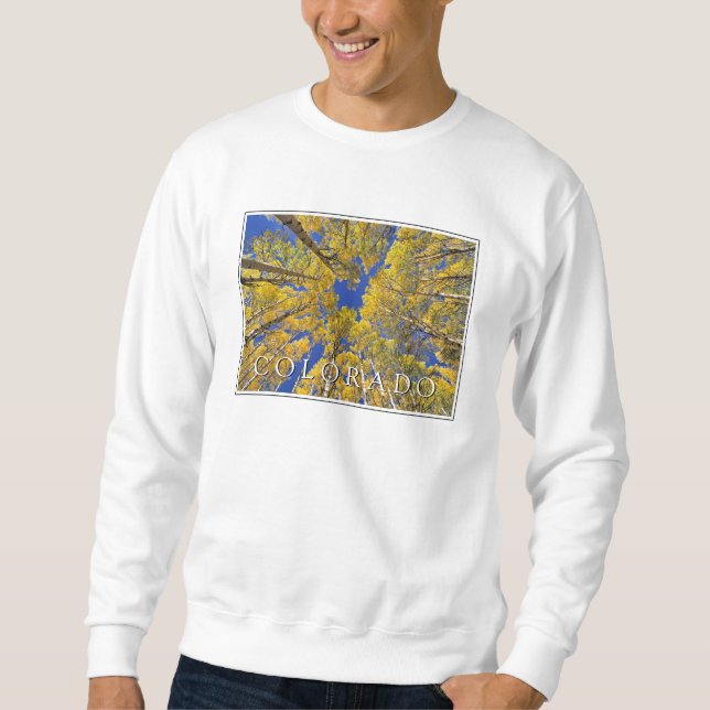 Sweatshirt Colorado Fall | Forêt d'Aspen en automne (Devant)