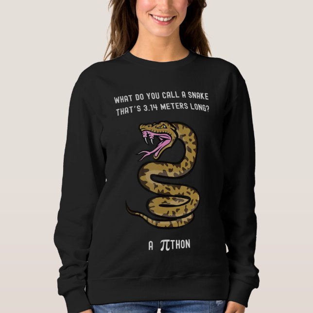 Sweatshirt Comment Appelez-Vous Un Serpent Thatu2019s 3 14 Mè (Devant)