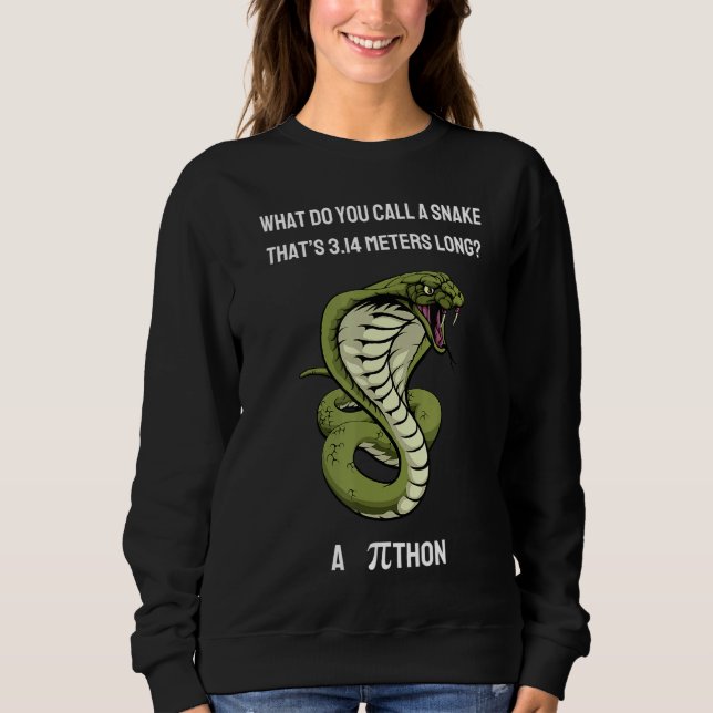 Sweatshirt Comment Appelez-Vous Un Serpent Thatu2019s 3 14 Mè (Devant)