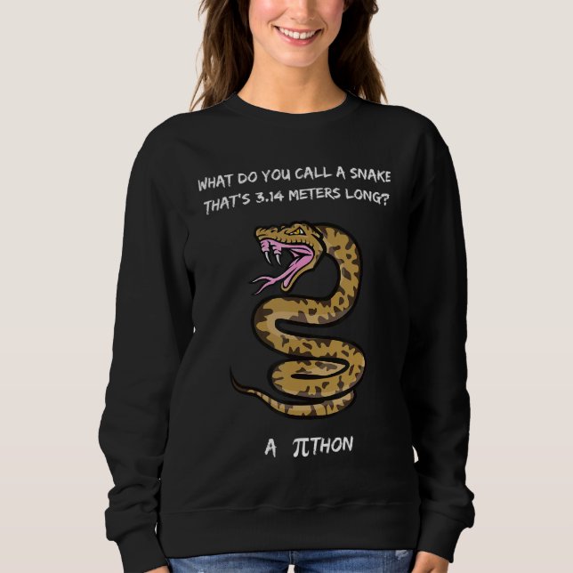 Sweatshirt Comment Appelez-Vous Un Serpent Thatu2019s 3 14 Mè (Devant)