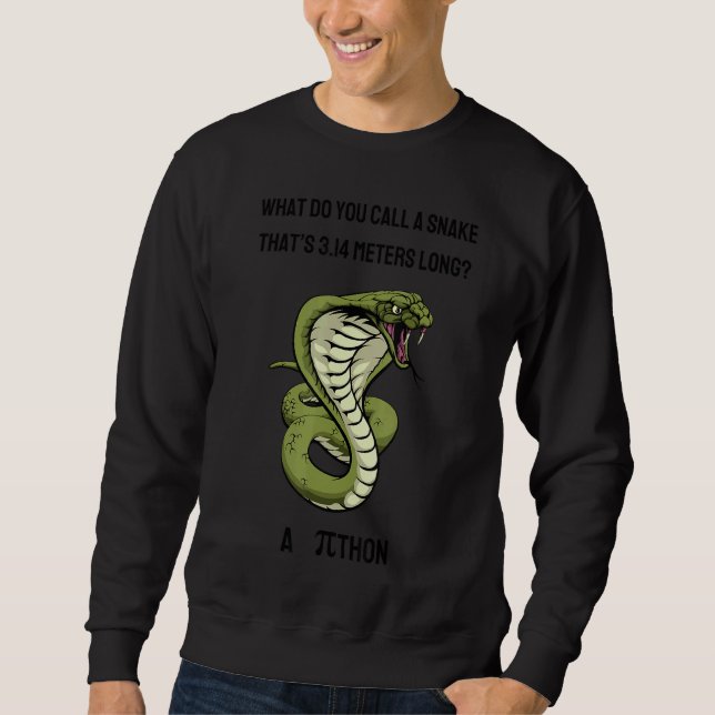 Sweatshirt Comment Appelez-Vous Un Serpent Thatu2019s 3 14 Mè (Devant)